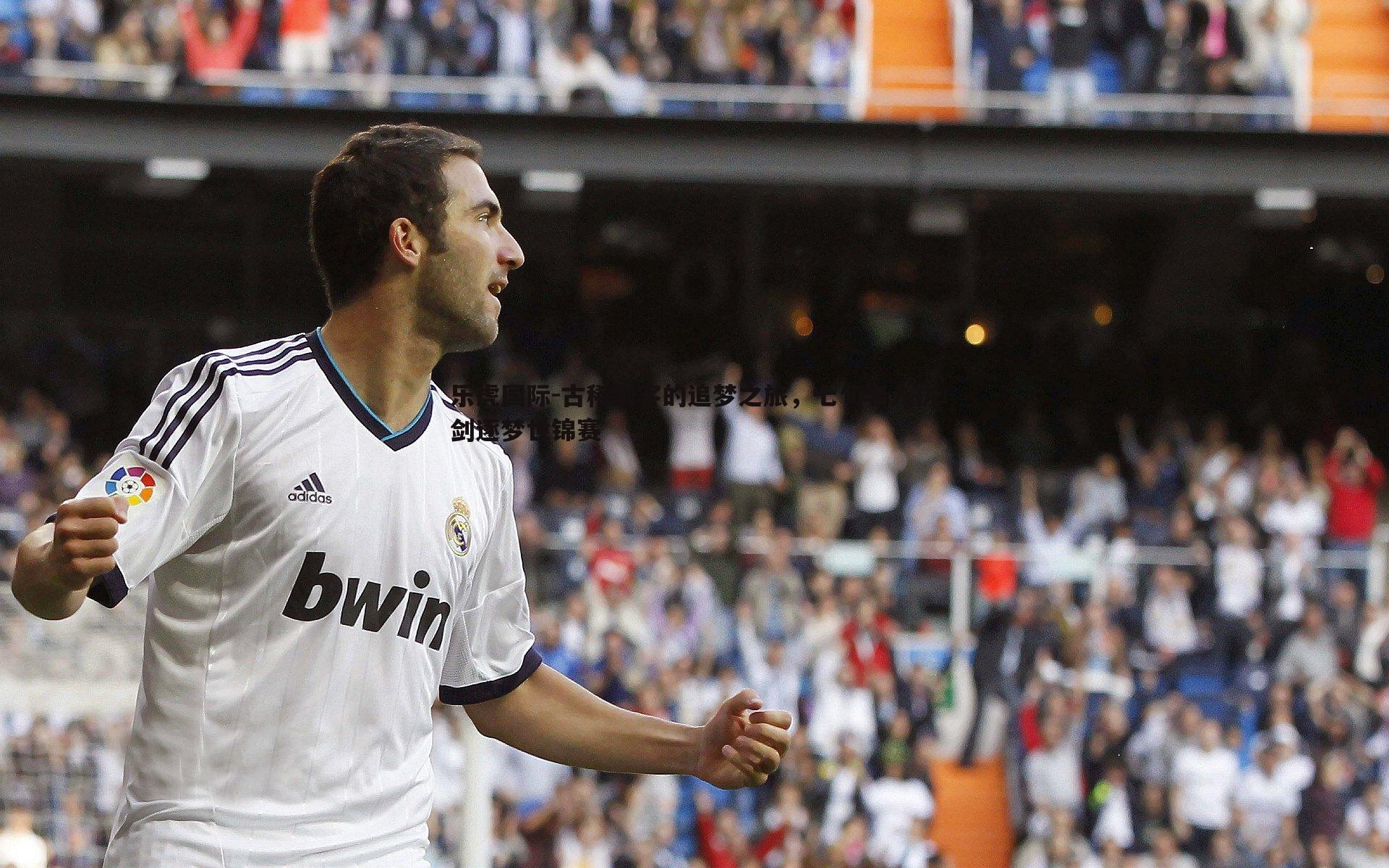 古稀剑客的追梦之旅,七旬老人执剑逐梦世锦赛